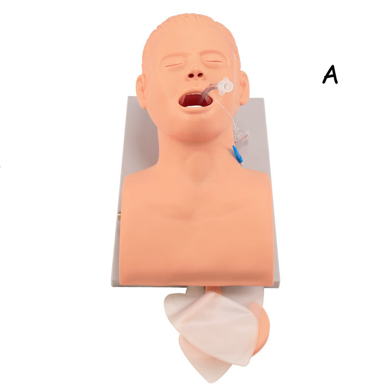 Medical Lab Management - Modelo de enseñanza de maniquí de