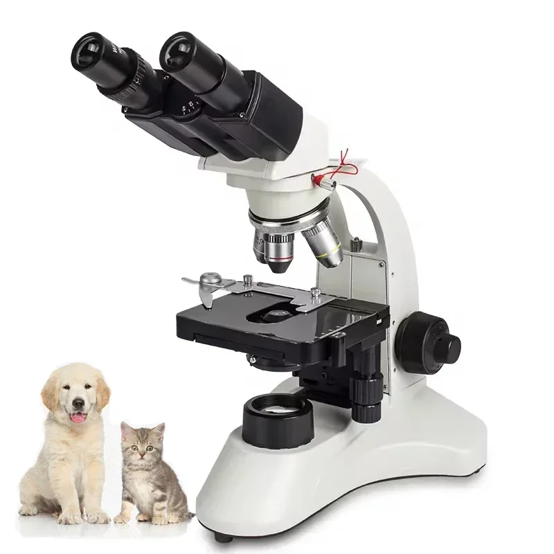 Medical Lab For Sale - Excelente superventas, primeras ventas calientes, equipo