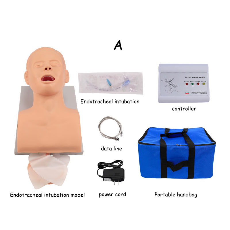 Modelo de enseñanza de maniquí - Medical Lab Management reseña y precio