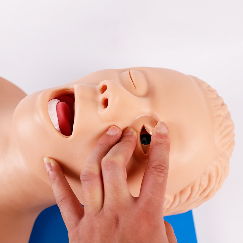Modelo de enseñanza de maniquí - Medical Lab Management reseña y precio