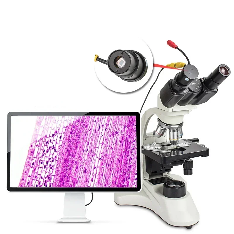 Excelente superventas, primera - Medical Lab For Sale reseña y precio