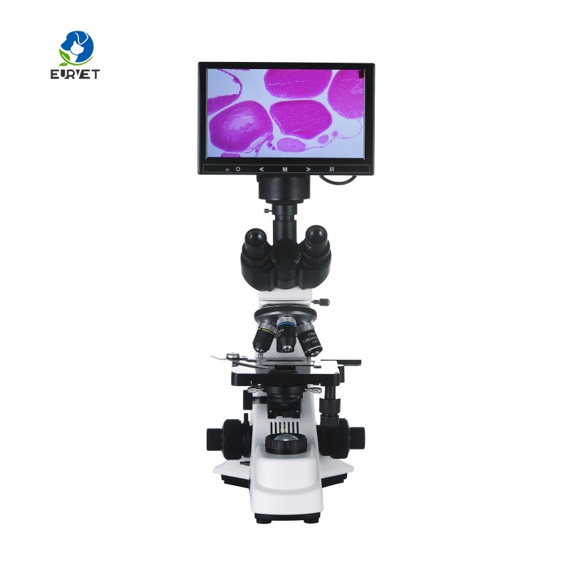 Microscopio Biológico Digital  - Medical Lab Scientist reseña y precio