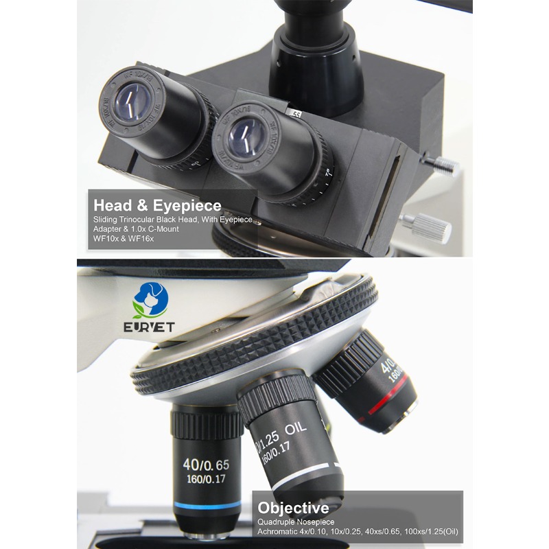 Microscopio Biológico Digital  - Medical Lab Scientist reseña y precio